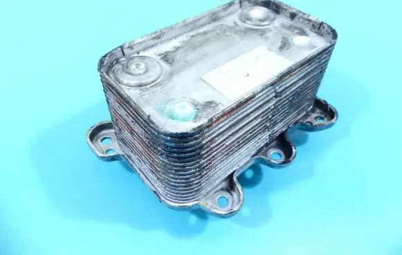 Mercedes-Benz ML W163 Engine oil radiator IMPRK1316383