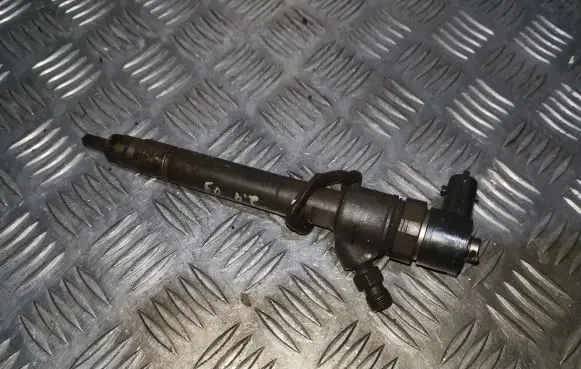 Volvo XC60 Fuel injector 0445110298 30777526