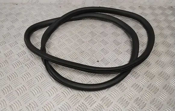 Ford Mach-E I Front door rubber seal LJ8BR20708AA