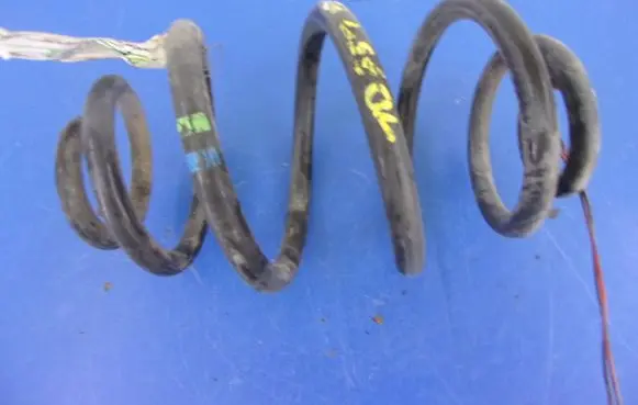 Volkswagen PASSAT B5.5 Rear coil spring