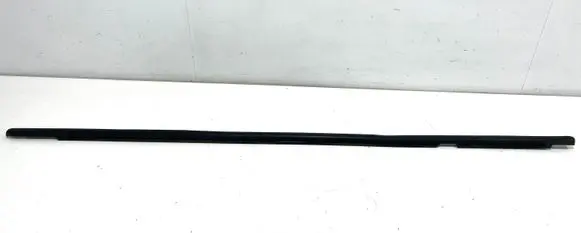 Renault Scenic III - Grand scenic III Front door glass trim molding
