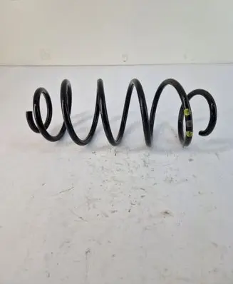 Front coil spring