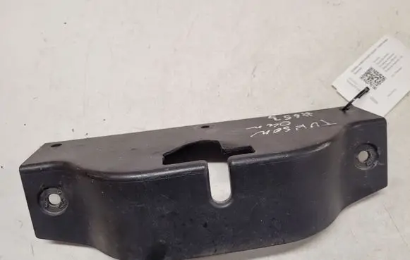 Engine bonnet/hood lock trim molding