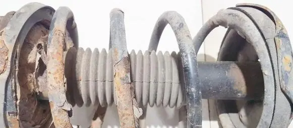 Mazda Premacy Front coil spring