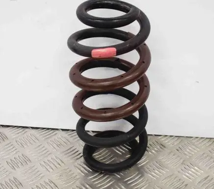 Lexus NX Rear coil spring