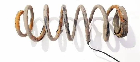Rear coil spring