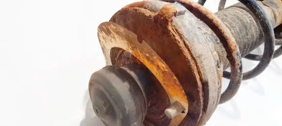 Coil spring mount