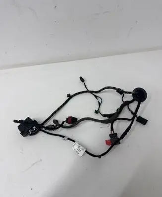 Front door wiring loom