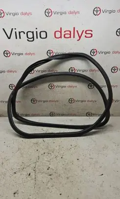Renault Kadjar Rubber seal rear door 