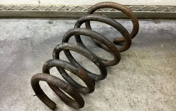 Rear coil spring