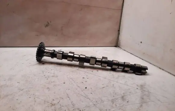 Opel Zafira A Camshaft 90528134
