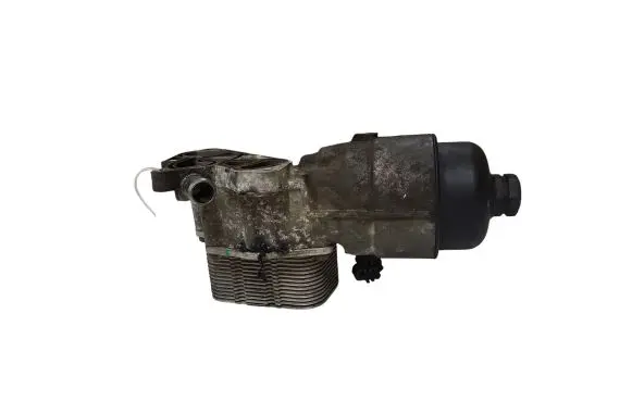 Peugeot 207 Oil filter mounting bracket 9656970080
