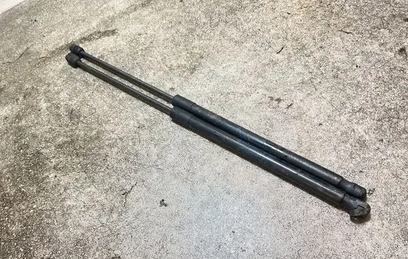 Tailgate/trunk strut/damper