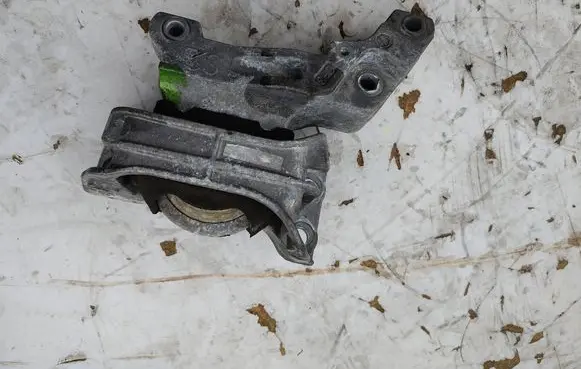 Nissan Juke I F15 Engine mounting bracket 