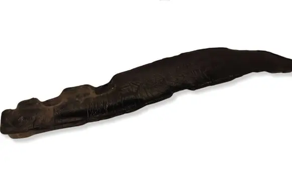 KIA Ceed Fender foam support/seal 841262J7500