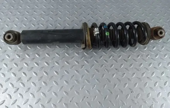 Citroen DS5 Rear shock absorber with coil spring 1607289480