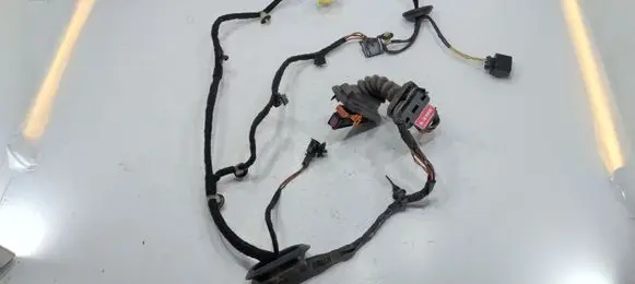 Volkswagen PASSAT B7 Front door wiring loom 3AB971121BB