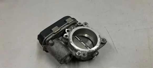 Throttle body valve