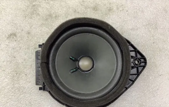 Front door high frequency speaker