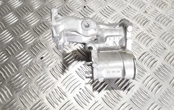 Renault Kangoo II EGR valve line/pipe/hose