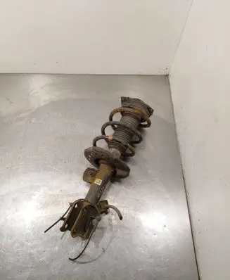 Nissan Leaf I (ZE0) Front shock absorber with coil spring