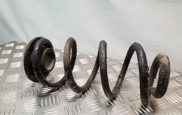 Rear coil spring