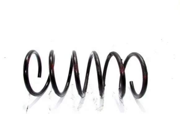 Front coil spring