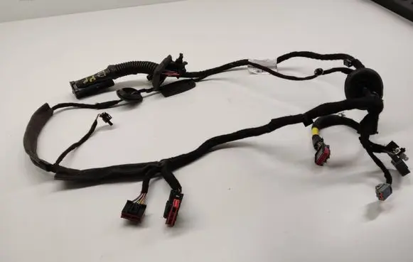 Front door wiring loom