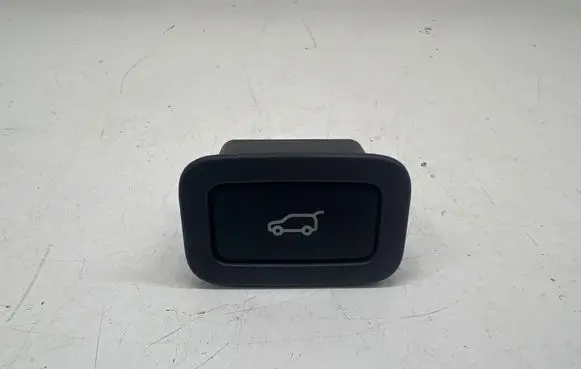 Land Rover Discovery 5 Tailgate/boot open switch button CPLA10E998AA