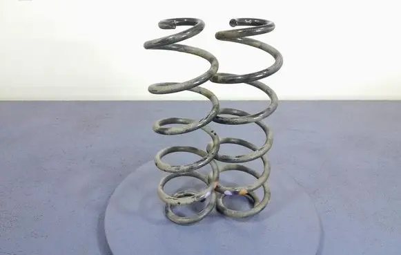 Rear coil spring