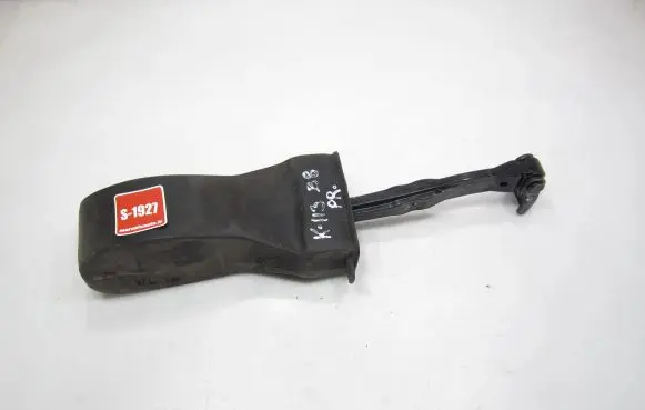 Volkswagen PASSAT B8 Front door check strap stopper 3G0837249B