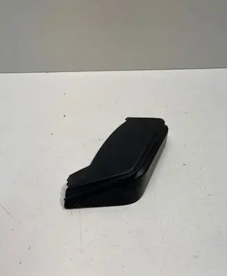 Rear/tail light trim molding