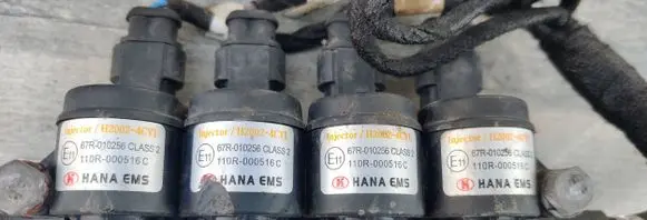 Peugeot Partner LP gas injector 67R010256 110R000516C 110R000516
