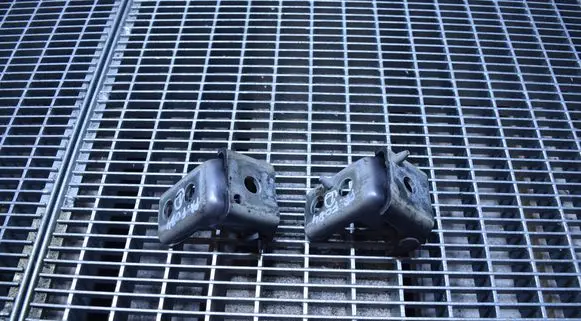 Citroen C3 Front door hinge set 