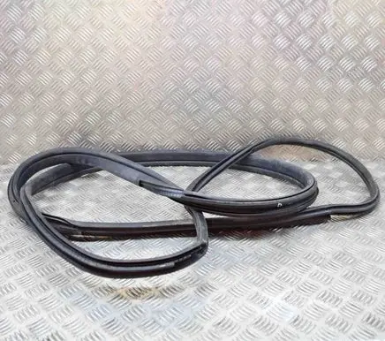 BMW i3 Rubber seal front door (on door) 7301741