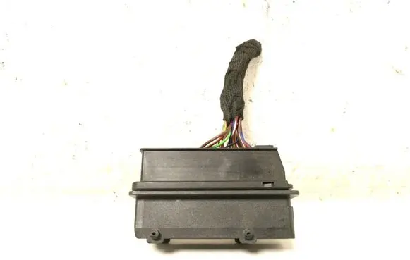 Volkswagen ID.4 Other wiring loom 1EA973262A