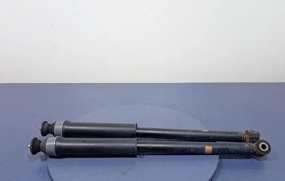 Renault Captur Rear shock absorber/damper 