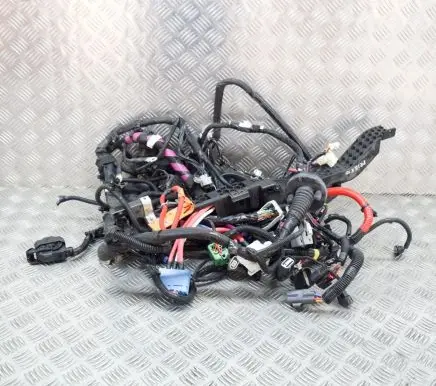 Tesla Model 3 Other wiring loom 256796407B