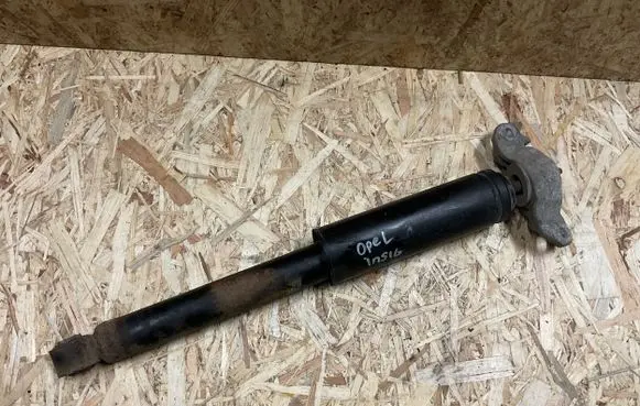 Opel Insignia A Rear shock absorber with coil spring 