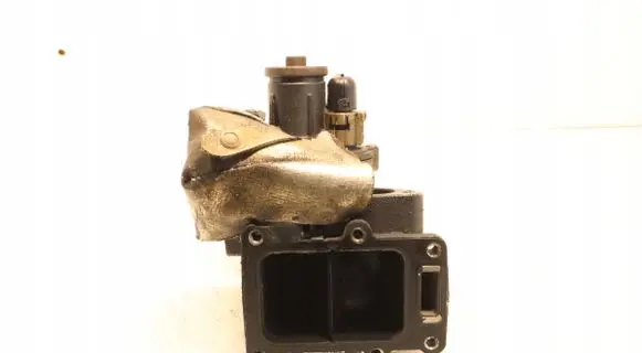 EGR valve