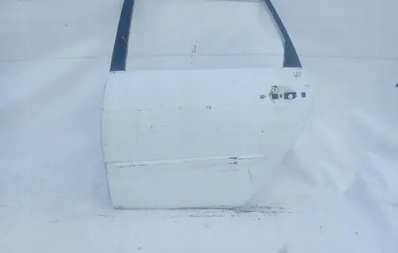Mitsubishi Grandis Rear door