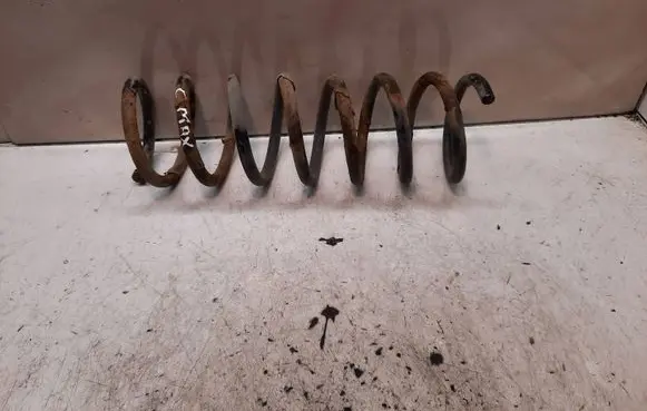 Ford Focus C-MAX Rear coil spring