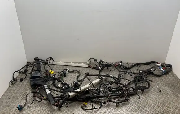 Other wiring loom