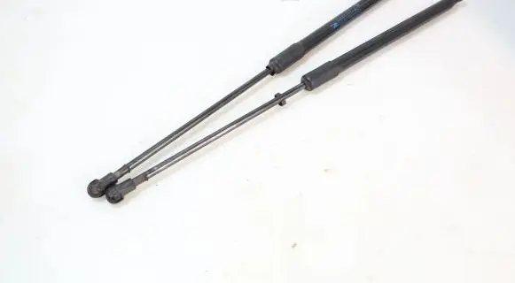 Renault Megane IV Tailgate hydraulic set 