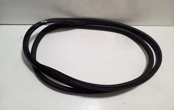 Fiat 500L Rear door rubber seal (on body) 