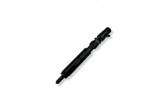 Renault Megane II Fuel injector EJBR03101D 8200421359