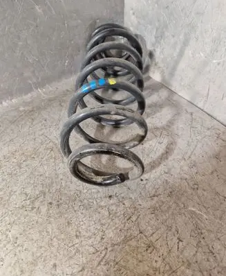Rear coil spring