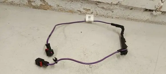 Other wiring loom