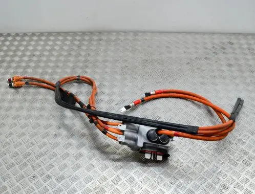 Tesla Model S Other wiring loom 109700000F 105586810D