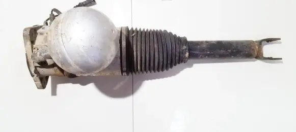 Volkswagen Phaeton Rear shock absorber/damper 3d0616001h